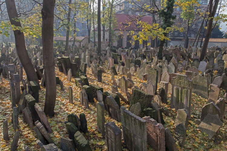 Thousands of leaning headstones under autumn trees in Prague's Old Jewish Cemetery